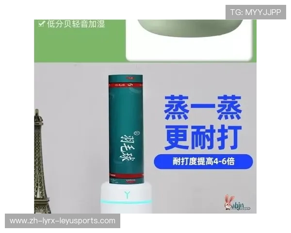 蒸羽毛球 加湿器