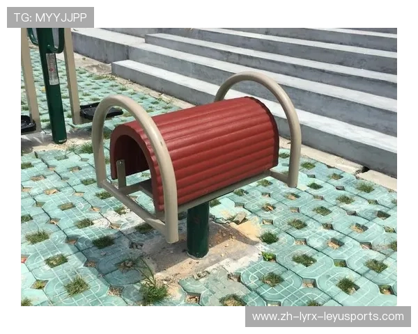 路边健身器材的普及与健康效果